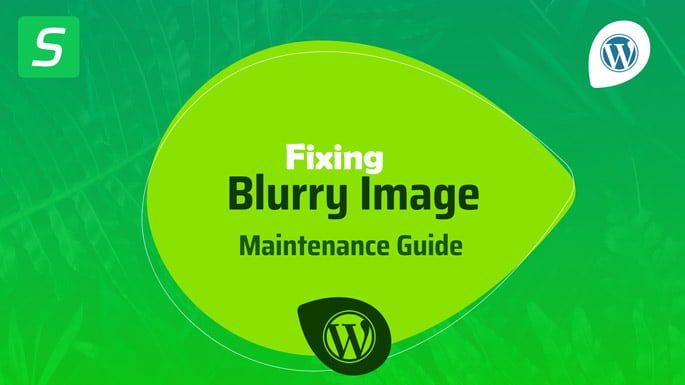 Pixel-Perfect Precision How to Fix Blurry Image Problems in Your WordPress Website in 2024